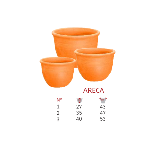 Areca