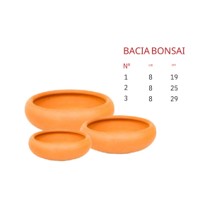 Bacia bonsai