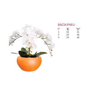 Bacia pneu