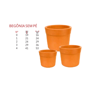 Begônia sem pé