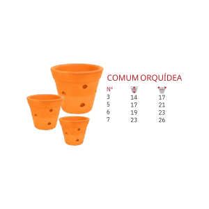 Comum - Orquídea