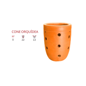 Cone orqúidea